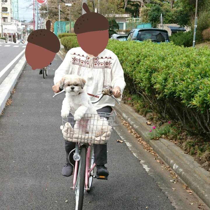 Eb6dfbf0 509f 43d0 86ea 564f2dc144cb 1538973472705