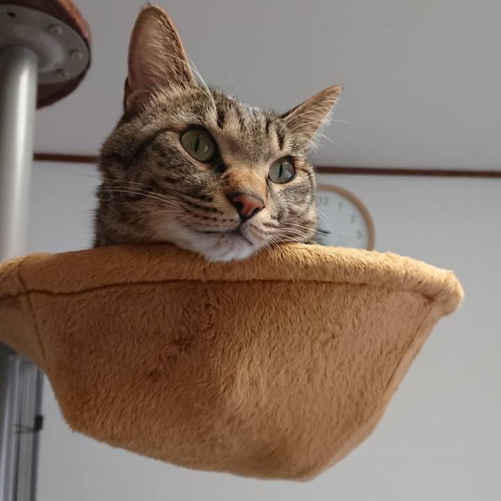 Eb6e6ab9 250d 440b b896 cfcee512ba28 1517100396473