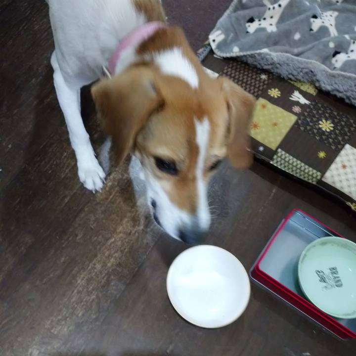 Eb6e8668 4576 48e0 b700 5eb1a83dd7d9 1580716913913