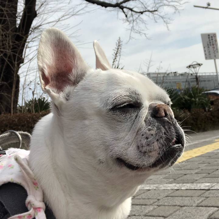 Eb6ea6e7 e771 407b babf 1316f1dd3640 1677983870332