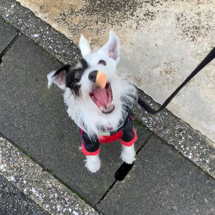 Eb6f0592 6d7a 4a63 b471 1e2d8fd050f4 1700176502588