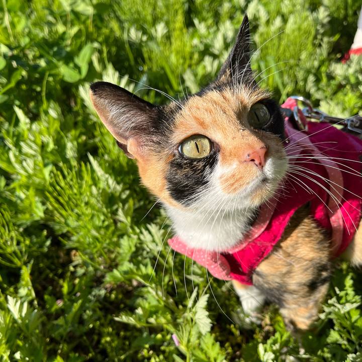 Eb6f0cc8 8c5e 4bee 9895 58046fcb3cab 1651443821918