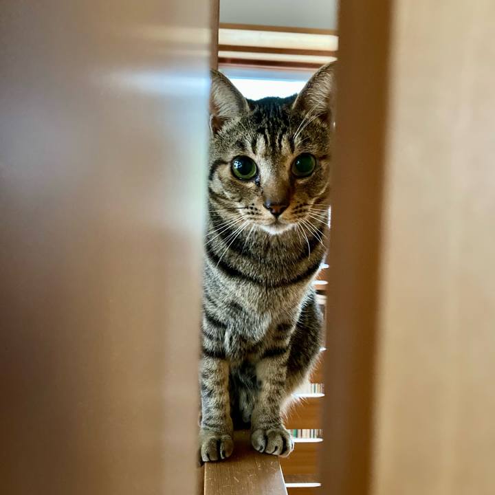 Eb6f10f8 bf25 492f 915f e6137b3e3778 1711666655748