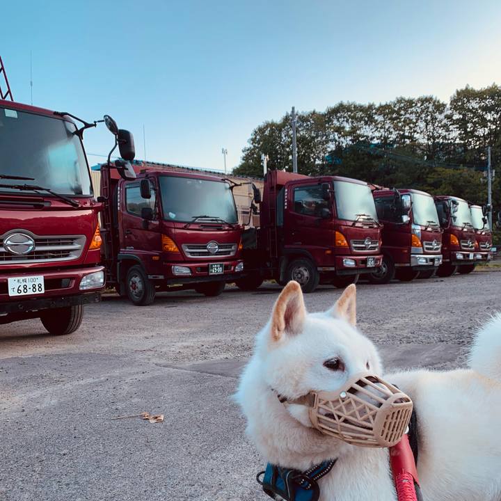 Eb6f3286 d80a 48f3 b325 a9afe338ef93 1654892458944