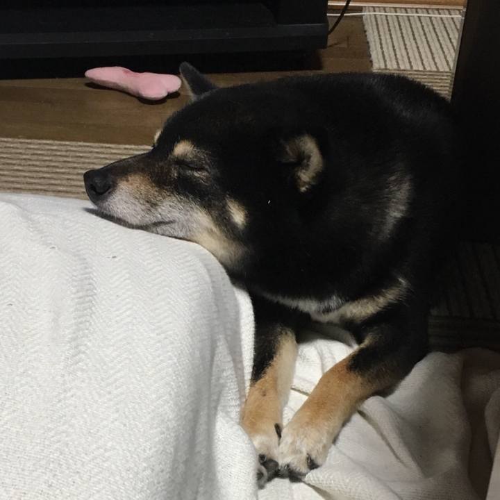 Eb6f3297 c1ec 428e b30b ef62e18afa3e 1514451994890