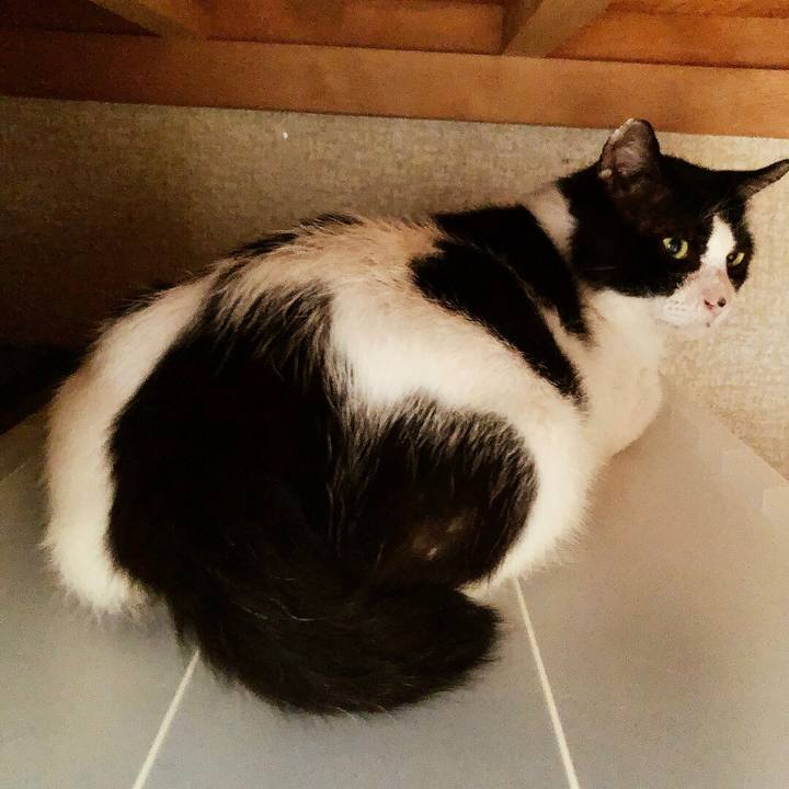 Eb6f4148 cb10 48cf 8791 58efde8e1010 1632276152990