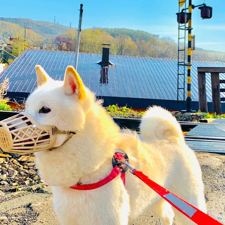 Eb6f9ee6 4a61 46a2 ac8e f80aa91c07f0 1588893510390