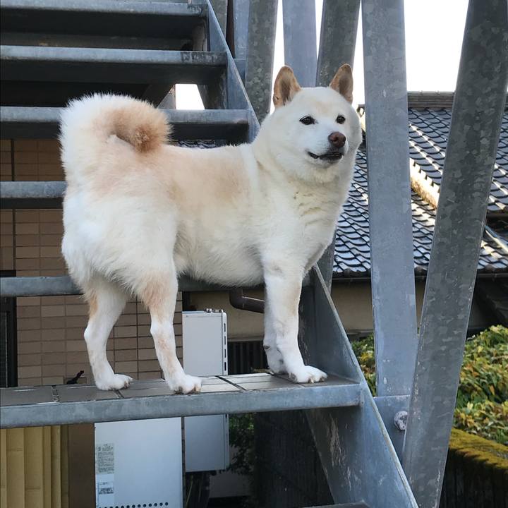 Eb6fc8a3 6233 423b 8025 09a970f4c595 1634310913363