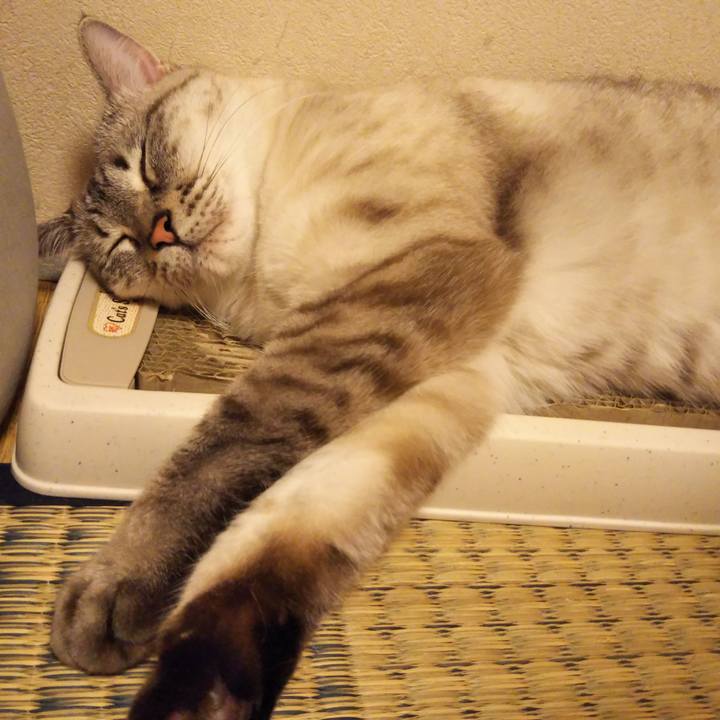 Eb6fcf6d 7aff 47d1 8e30 6f30346de05d 1533567014475