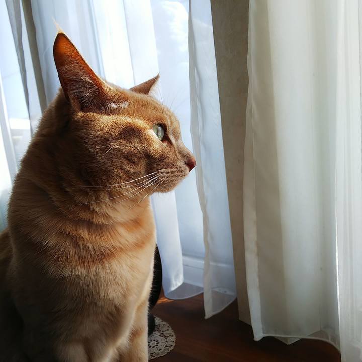 Eb6fdda8 eb0a 4070 8d7f 5b08e2c308f8 1673148019576