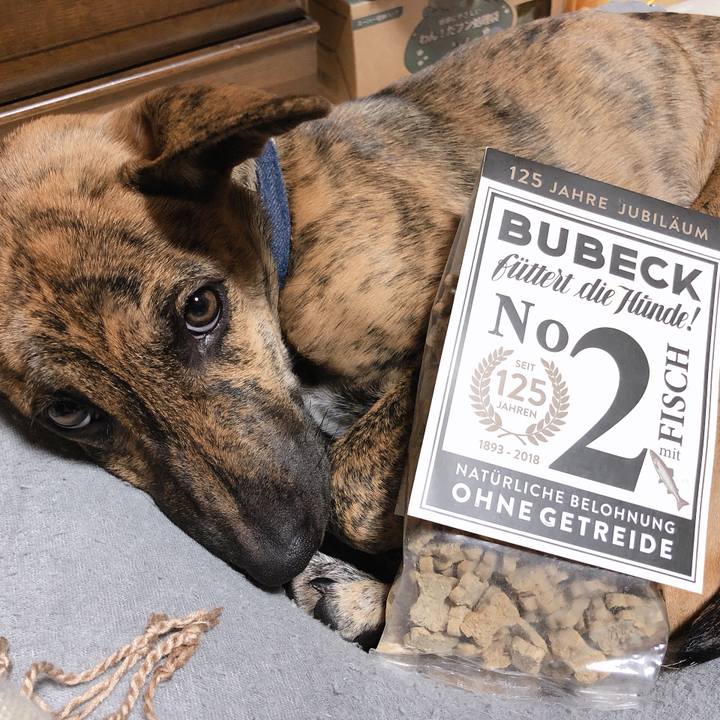 Eb6ff29e c695 42fe 9c00 462f66570416 1573212700118