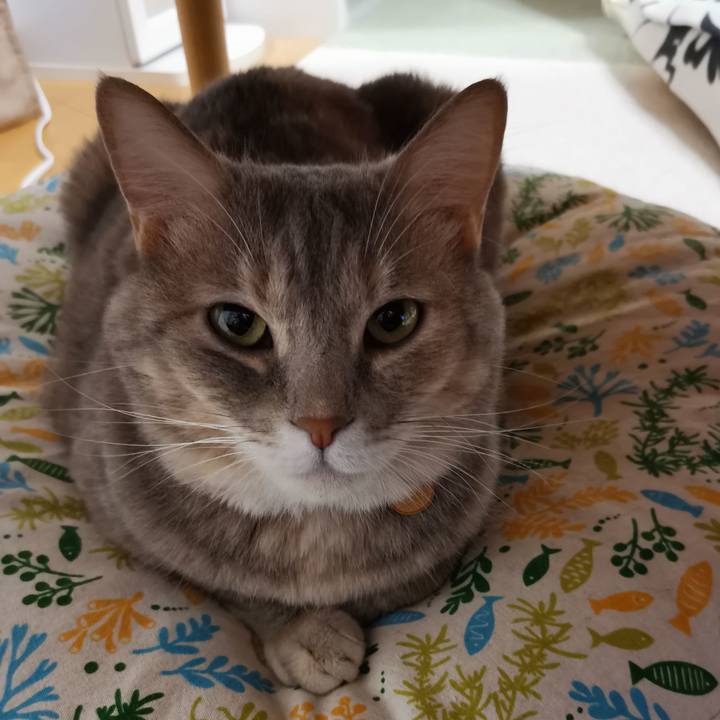 Eb70144c c078 45d0 97c8 b18a05cbeda6 1600384600178