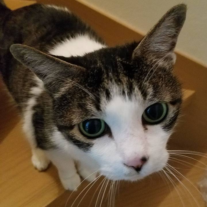 Eb7022a7 2747 40dc 9820 8eccb0c36a6c 1619600296125