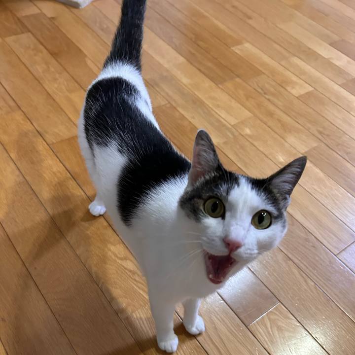 Eb705633 6cd9 4996 9c92 b9084a55ba2a 1719397241290