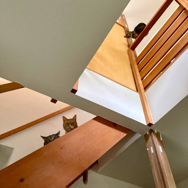 Eb705812 8a1c 47d3 9283 84cb2fbc2ab6 1689378043696