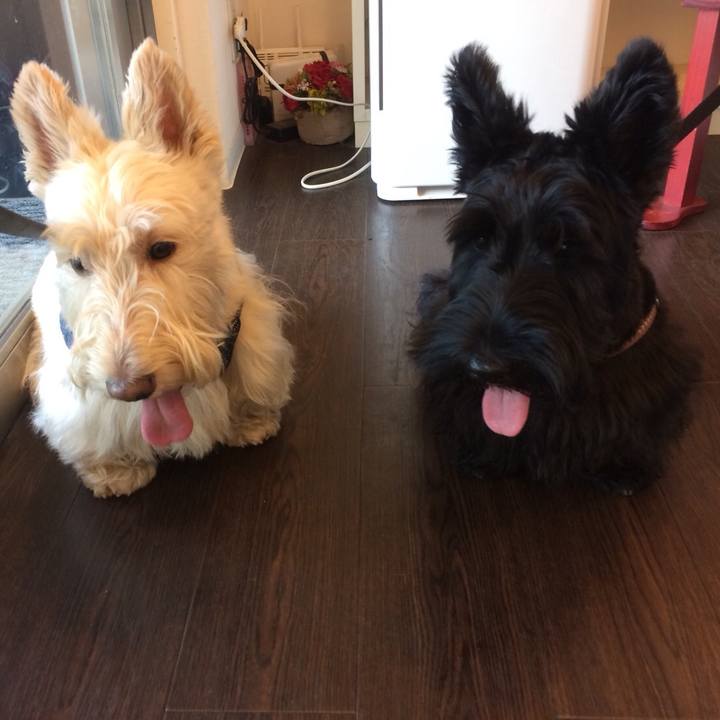 Eb70683f f5dd 49e1 82bc 854a90b7b332 1533337489571