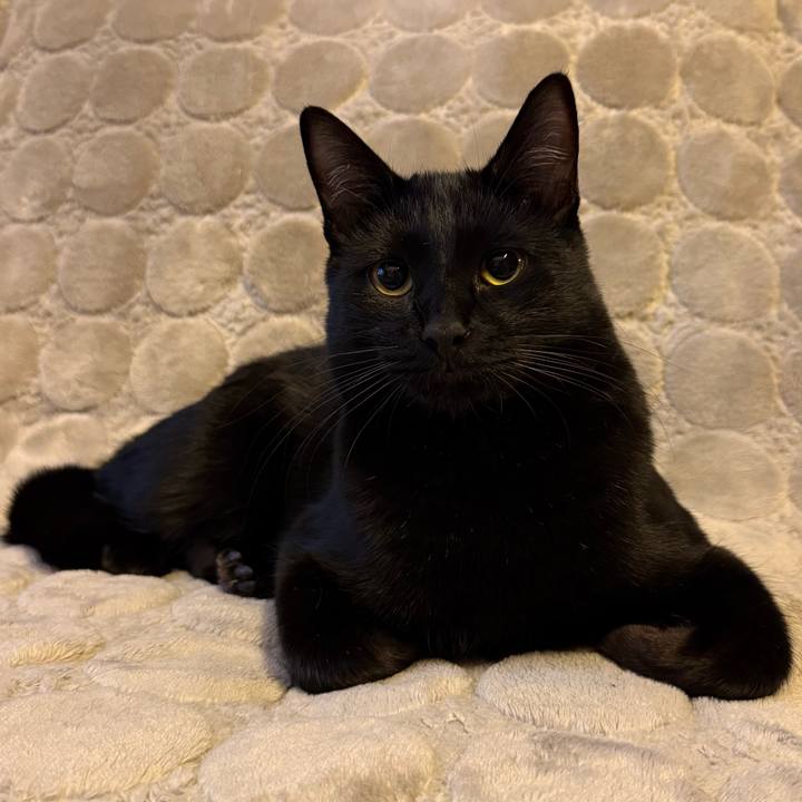 Eb707e8c 688a 414d 802f 8dac4ed55afc 1770420546016