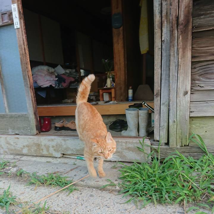 Eb70a17a f1a2 47ac 8e35 97dd99ca78e2 1656623917540