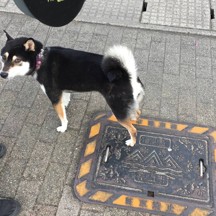 Eb70b4e5 5796 430a aa68 b7768acdb0e0 1605804085610