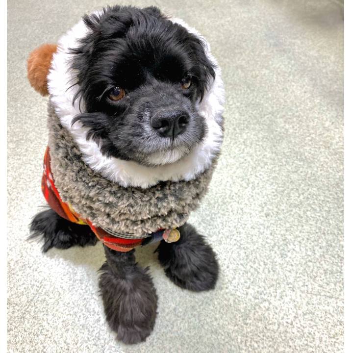 Eb70e8bd 841f 4114 a7c6 c46854e1345c 1610263369760