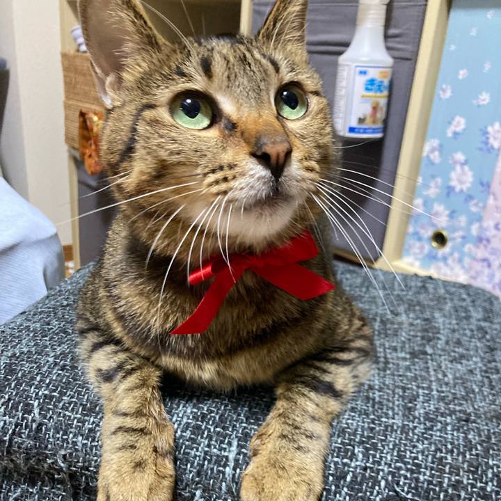 Eb711d4d dfaf 4c23 bcd2 87d70bbf8536 1714899605481