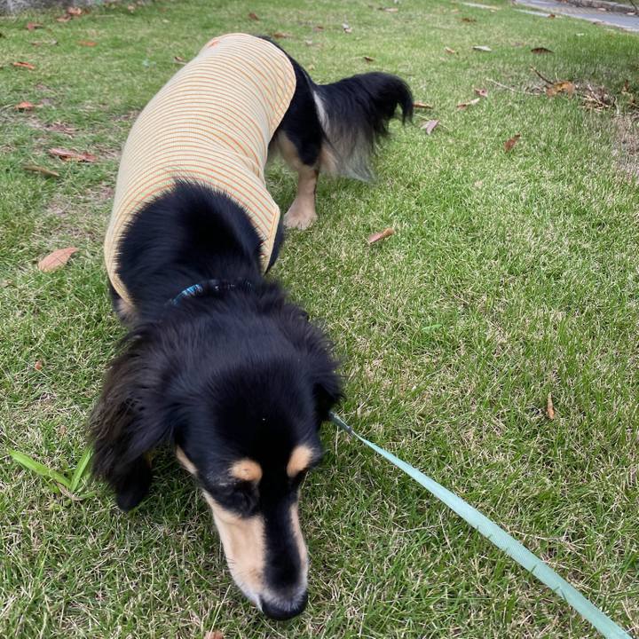 Eb7146ad a9c6 4d80 aac4 d343f06eac59 1695950662719