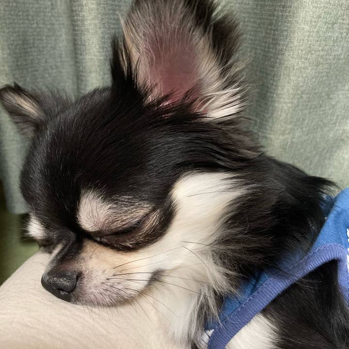 Eb71640d 7785 4d28 aae1 5c9fc62c64b7 1619965428140