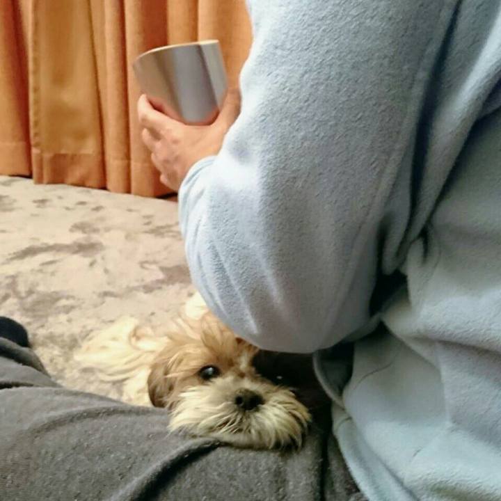 Eb716d9a 5806 40b4 8507 2199d1b625d5 1546780042363