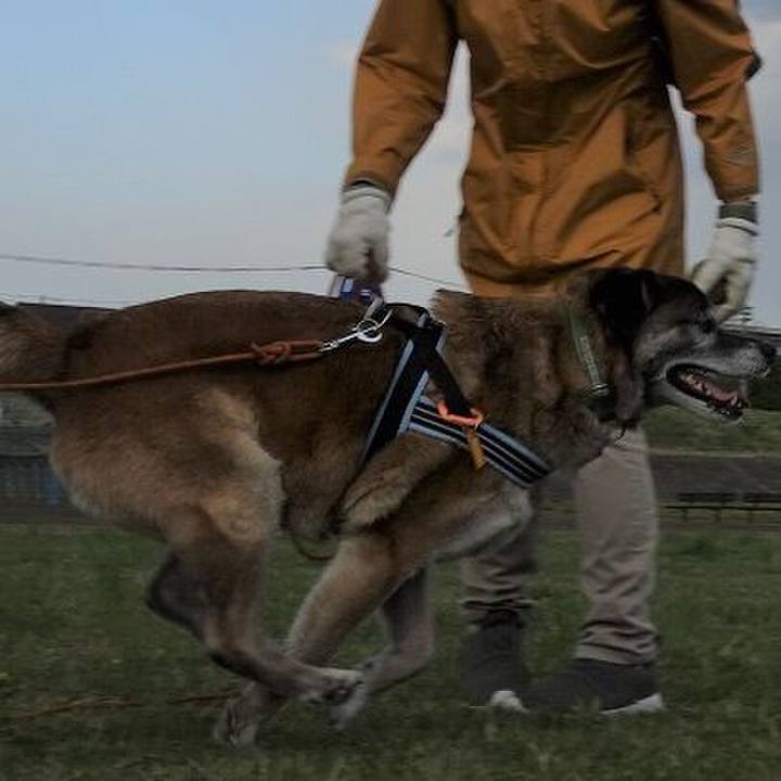 Eb719d11 b2bd 40cd b347 7eec94485e26 1523287826806