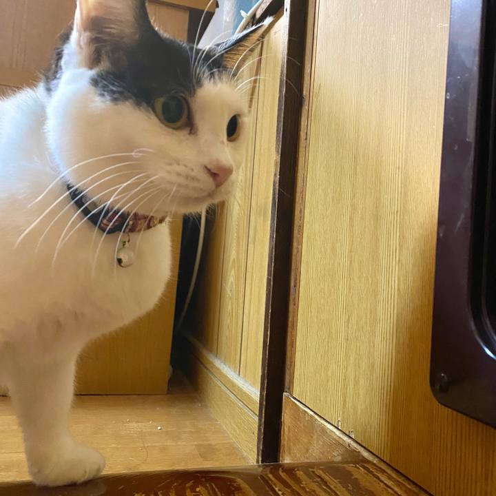 Eb71be1e 7dc2 4961 98cc 34d474857a6b 1670242247308