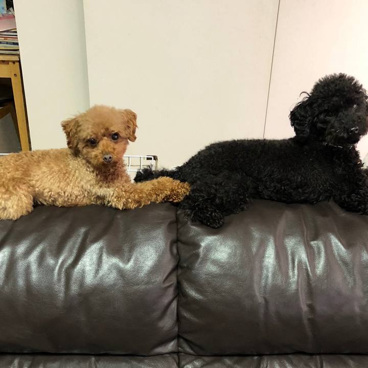 Eb71d271 c3e3 40a7 bfbe f7ad4526cd29 1549920865208