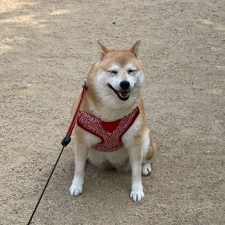 Eb71e30c 0845 4f94 ad16 42dd80a2d3e1 1624618836379