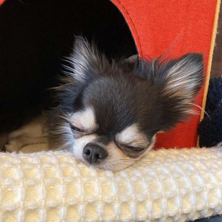 Eb71f3fe 760a 4688 87fb 09e7b3b8a2f5 1710084472462