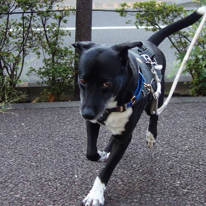 Eb7211e8 2719 4634 879b 1bcdaf76e0a7 1661733691066