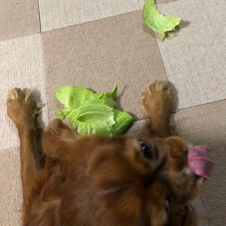 Eb722373 7a74 4c70 a1b8 12af60758cc1 1643581877882