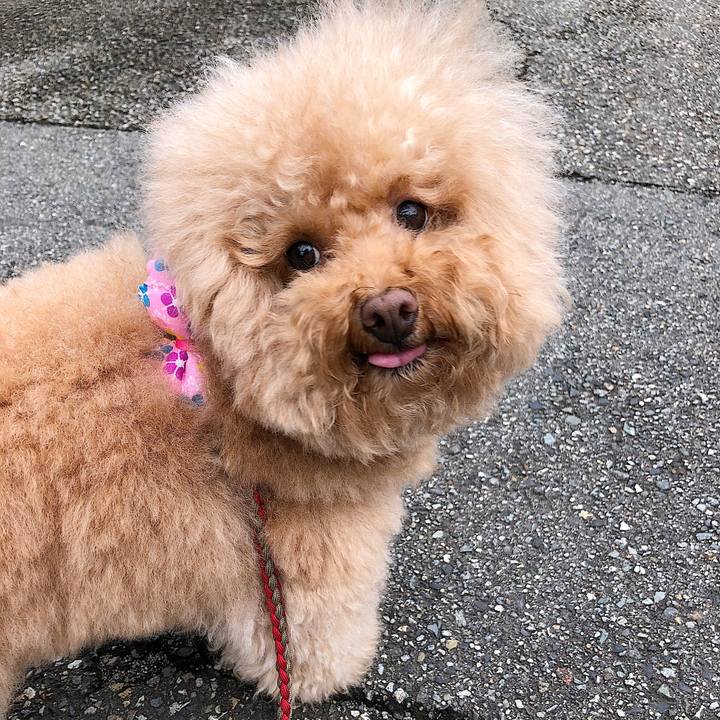 Eb72455c b560 421f 8290 d85c8058e39d 1563270312748