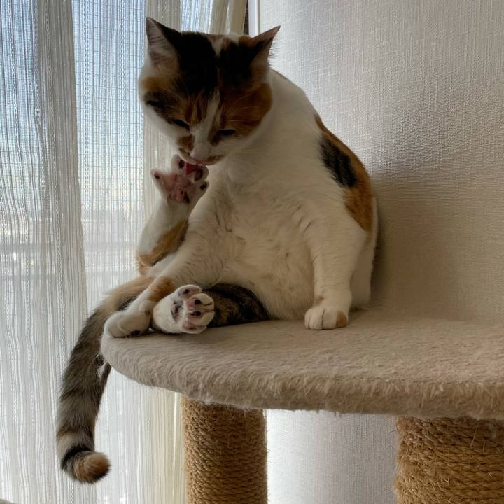 Eb727988 0c38 4c11 8f86 24440c33db7c 1608467504916