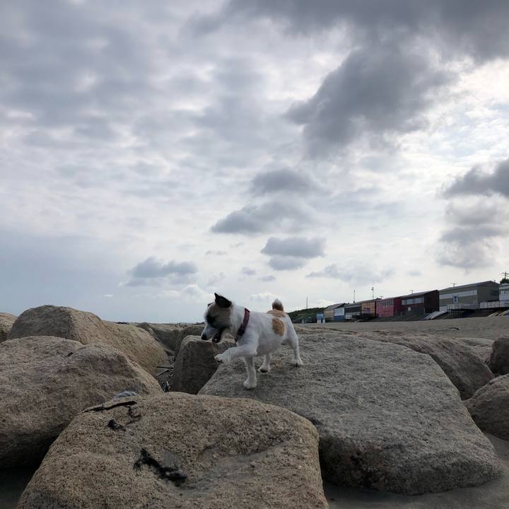 Eb72b910 7efd 42e6 98a6 fd3093df9ade 1593214385885