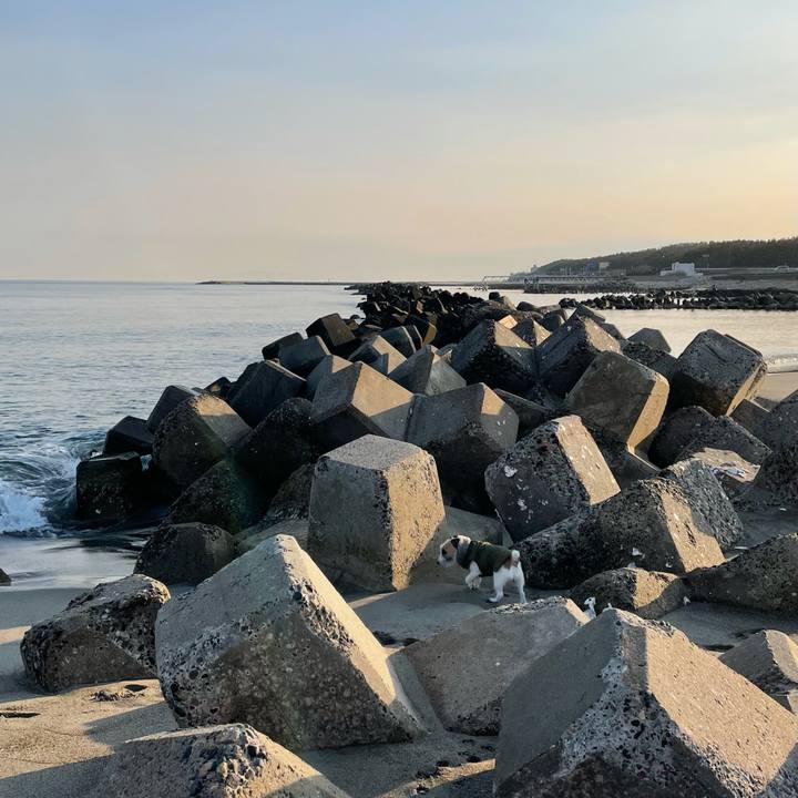 Eb72bd77 7f14 4b07 b7e4 23a272b7df21 1615502142709