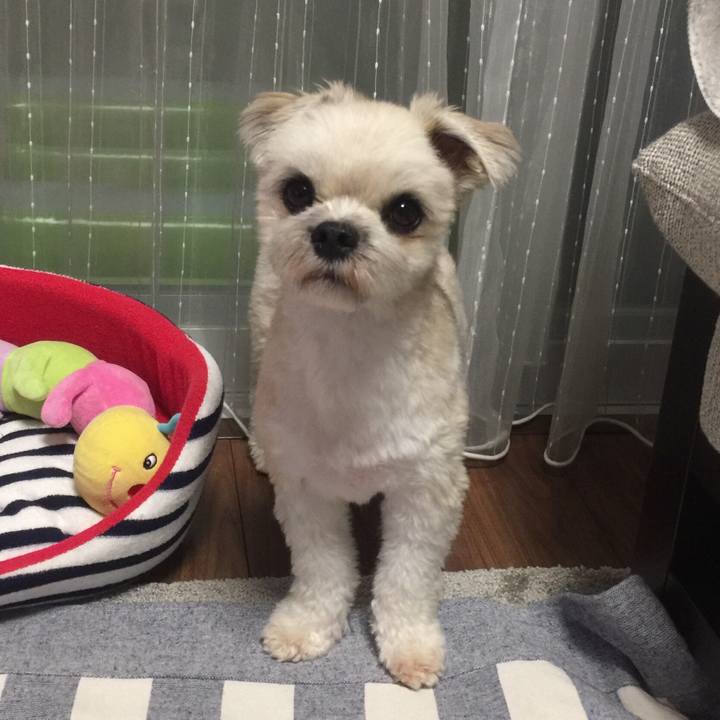 Eb72ebcc a4c8 42e6 910c 62d2f3eb2d75 1532520442999