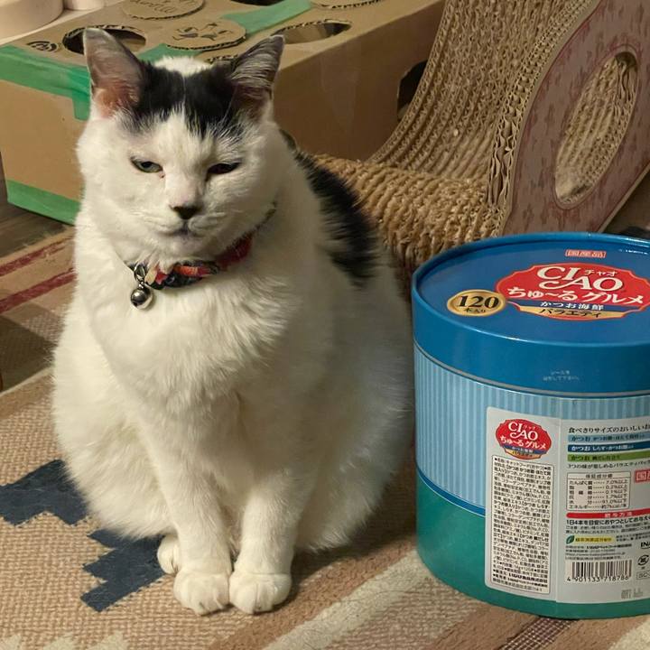 Eb72ef39 419b 475d b5c4 fbe40817689b 1761988970469