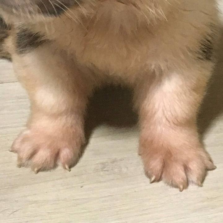 Eb72f36f 7e01 47ac 9f79 ca20d826eaa4 1617062291658