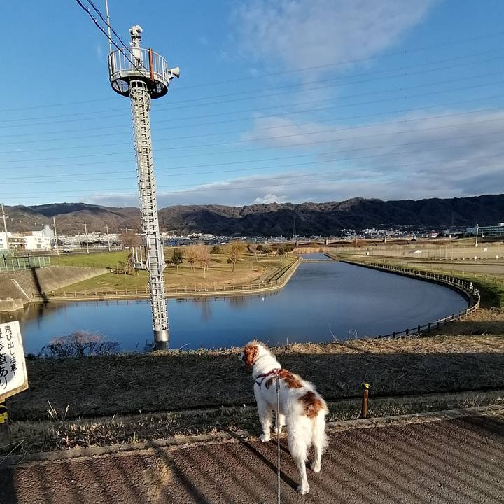 Eb730566 5fea 4af1 92d3 0769c91b4cb2 1580459617813