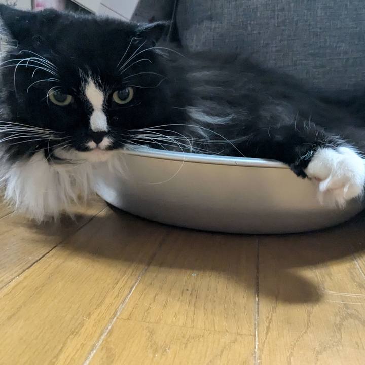 Eb738dc7 2623 439c 916e 3134aa4a2c6c 1723677185322