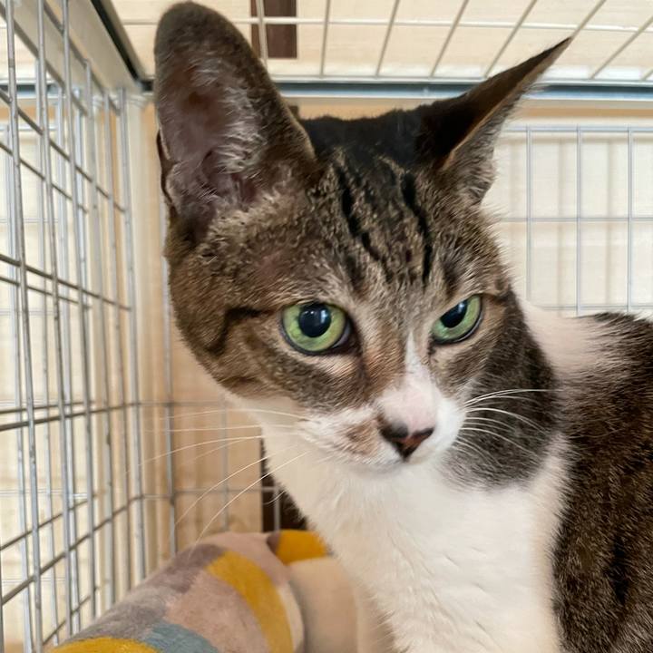 Eb73d823 98e3 42d5 8663 72e41e12f37d 1633310918930