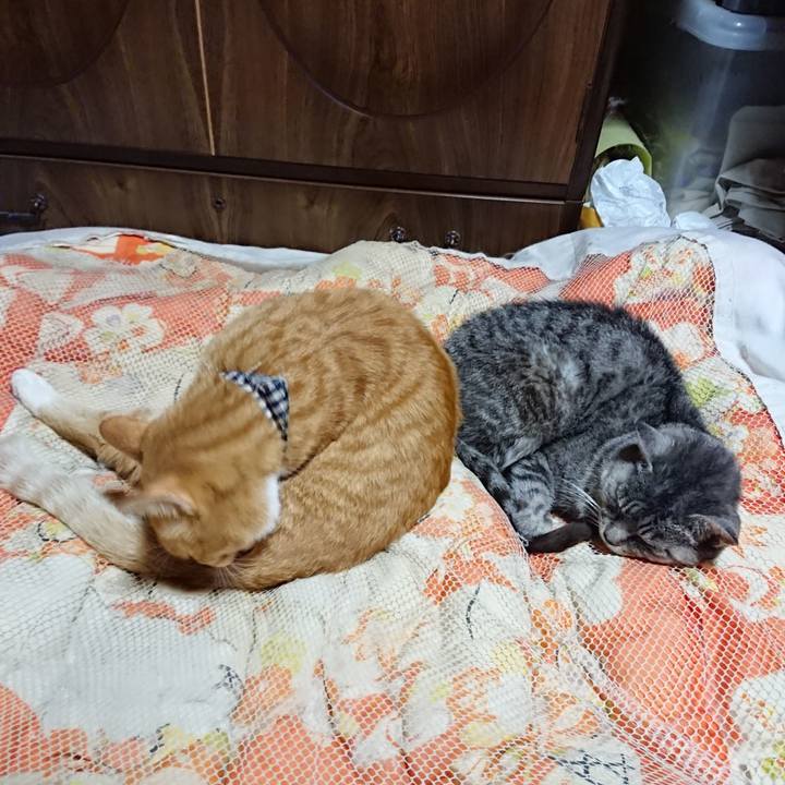 Eb73eb6a a840 4860 9c8a 63d4a283cd27 1572178337903