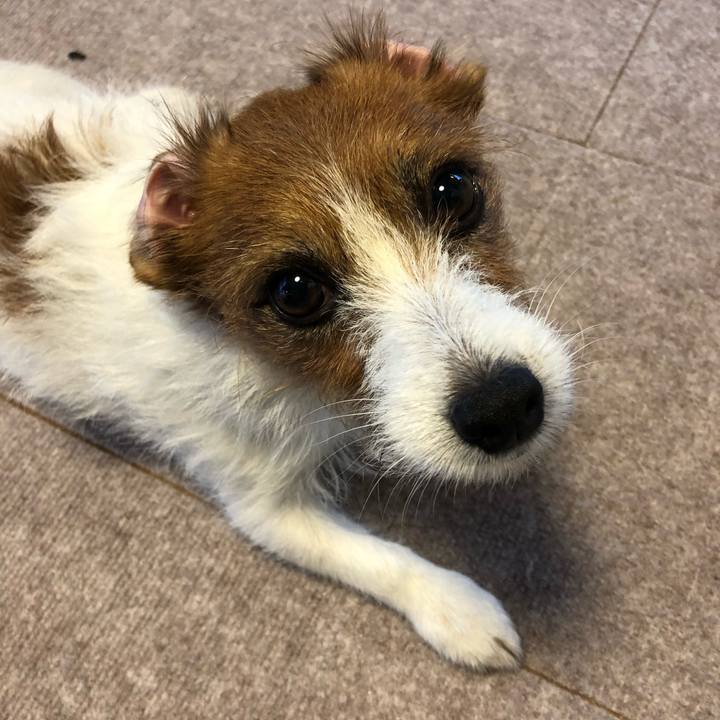 Eb73eb9d e586 40ae 839e 25ca417f5935 1543757058347