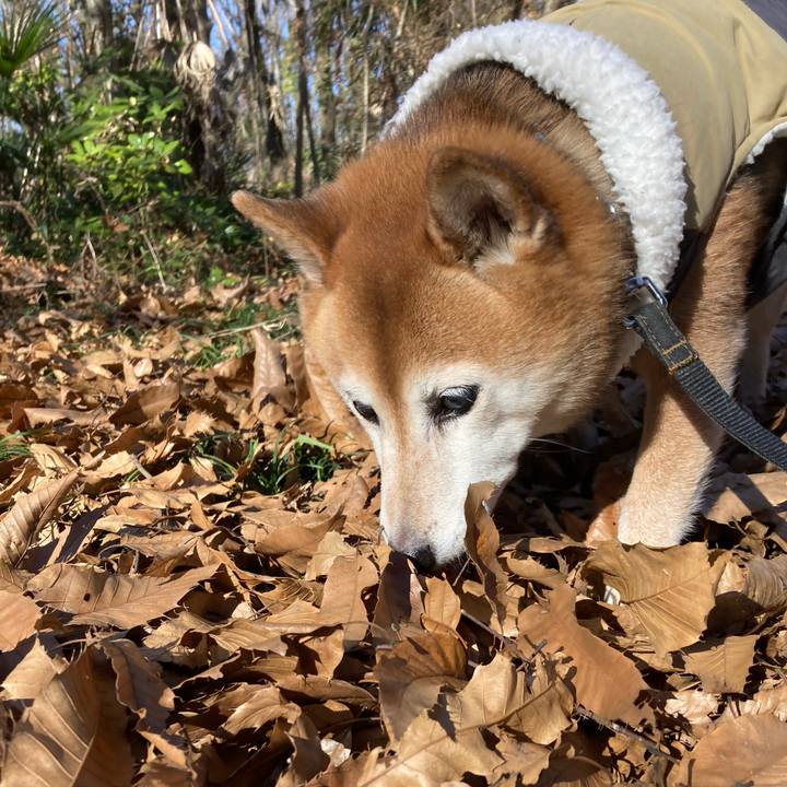 Eb73ee08 2610 4d17 99c1 f78b0252c9b1 1706241677744