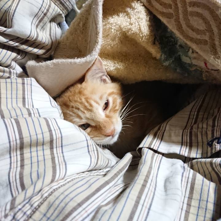 Eb73f48a a412 48e5 82d1 69aa8a76d6dd 1632169549269