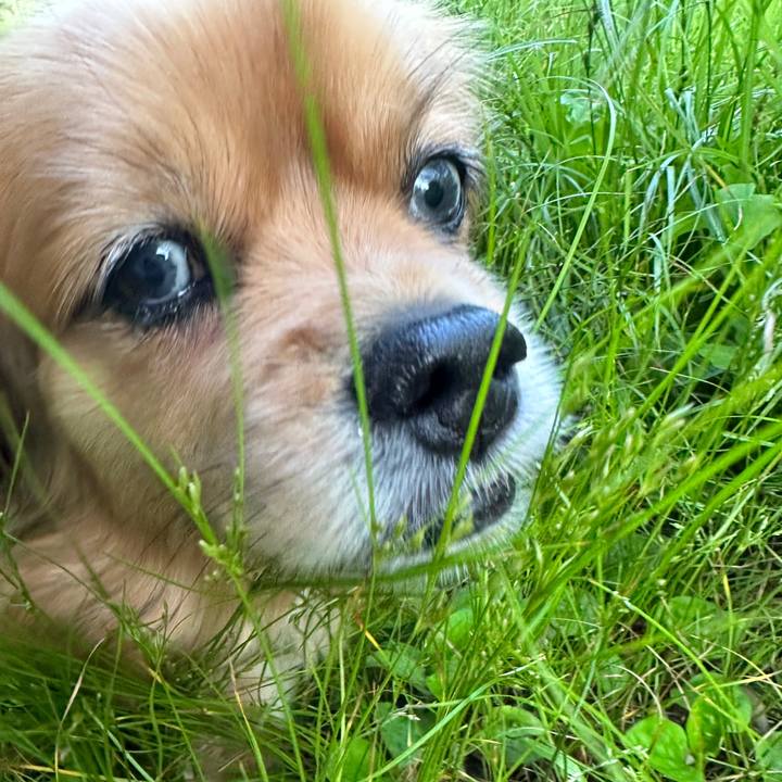 Eb73f782 87be 4f21 8019 268b1ab63f6d 1684359851366